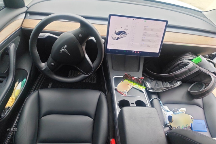 Tesla Model 3 2021 car image #11