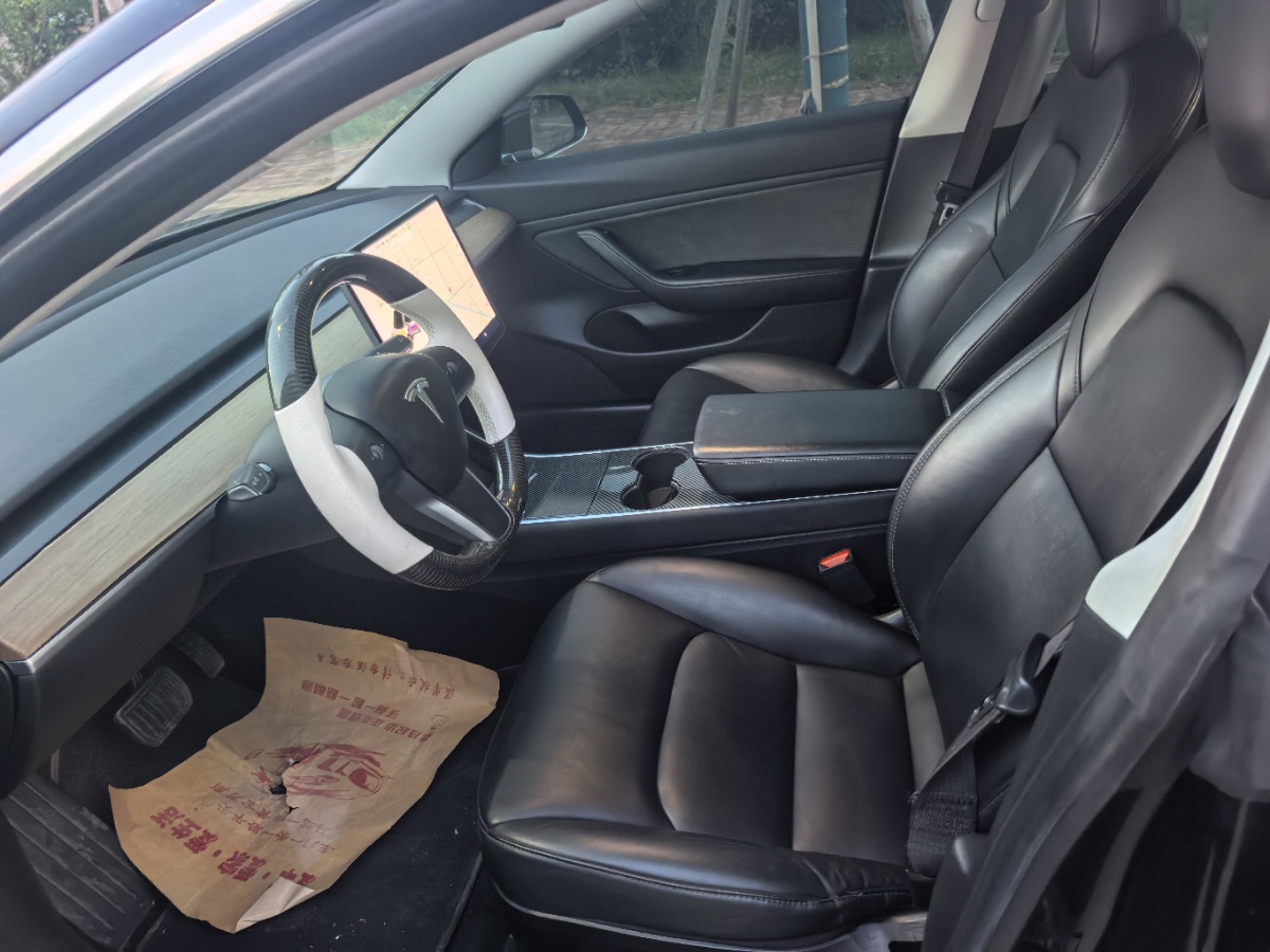 Tesla Model 3 (Imported) 2019 #8 Tesla Model 3 (Imported) 2019 imagem de carro #8