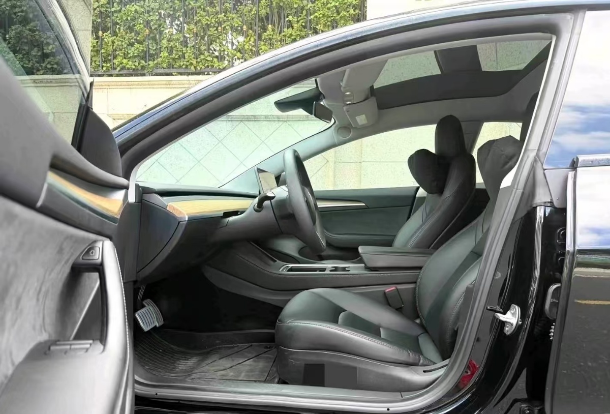 Tesla Model 3 2021 car image #5