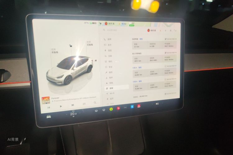 Tesla Model Y 2024 car image #15
