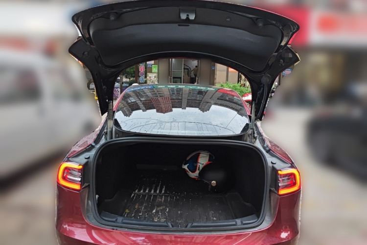 Tesla Model 3 2022 car image #21