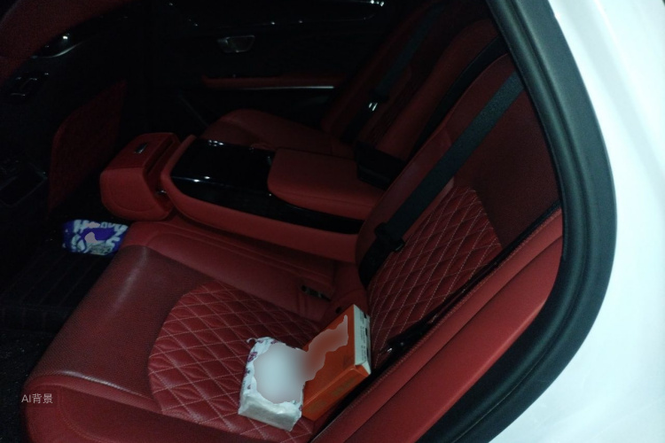 BYD Han 2021 car image #19
