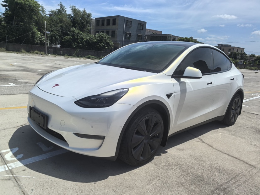 Tesla Model Y 2021 Tesla Model Y 2021 car image