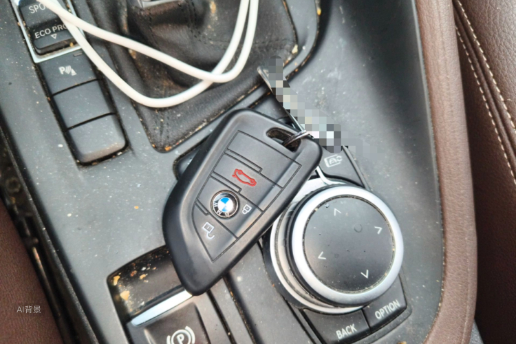 BMW X1 2020 image de voiture #10