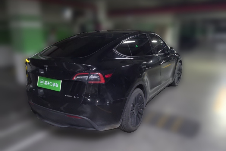 Tesla Model Y 2022 immagine di auto #7
