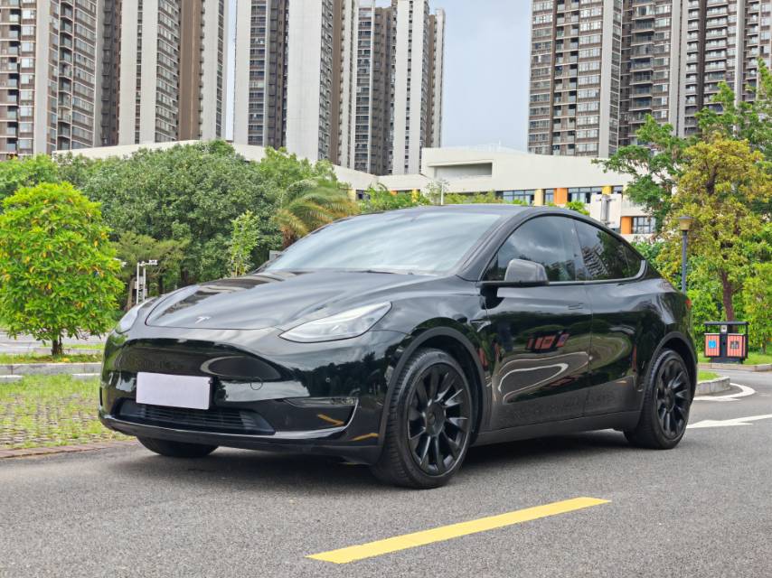 Tesla Model Y 2021 Tesla Model Y 2021 car image