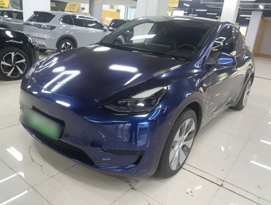Tesla Model Y 2023 Tesla Model Y 2023 car image