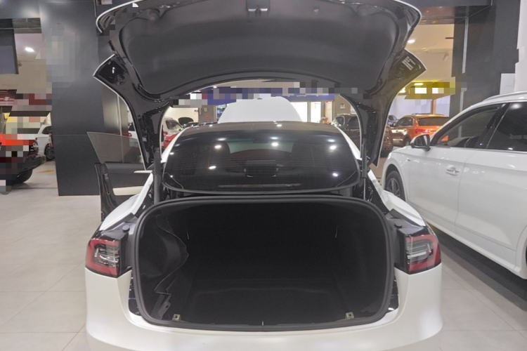 Tesla Model 3 2022 #19 Tesla Model 3 2022 car image #19