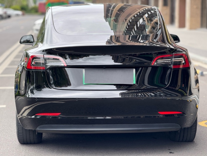 Tesla Model 3 2021 car image #7