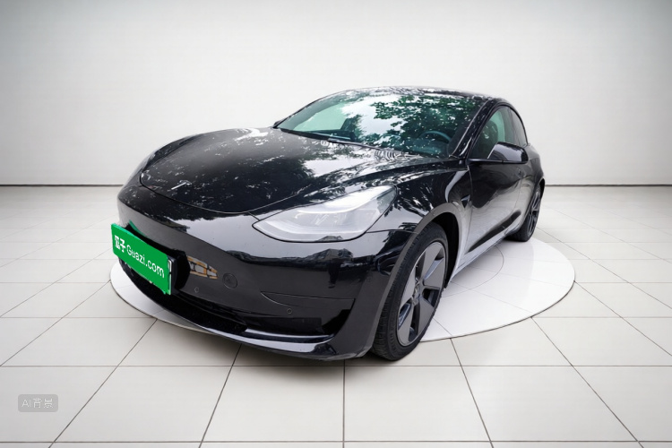 Tesla Model 3 2022 #2 Tesla Model 3 2022 car image #2