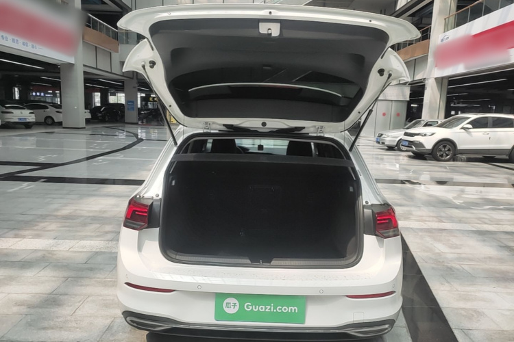 Volkswagen Golf 2022 car image #19