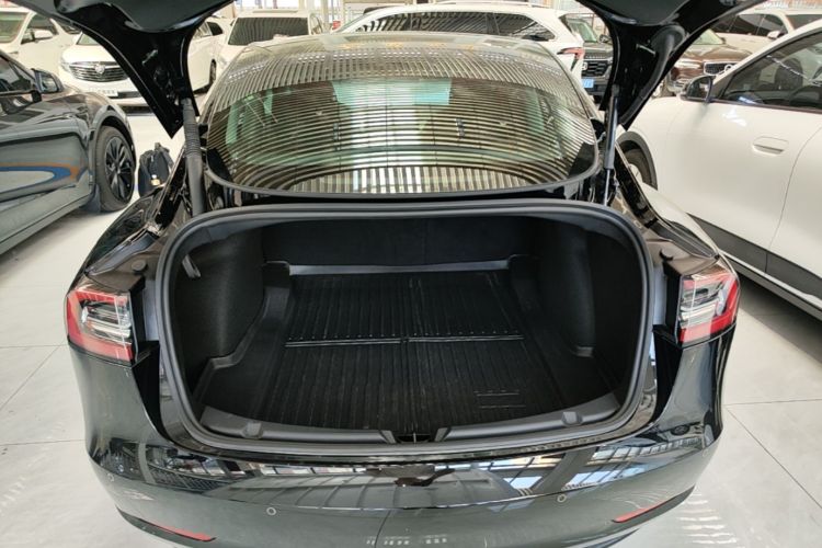 Tesla Model 3 2022 car image #21