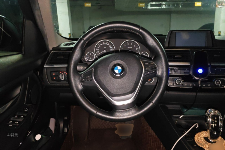 BMW 3 Series 2016 car image #12