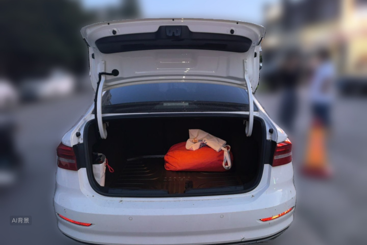 Volkswagen Lavida 2019 car image #21