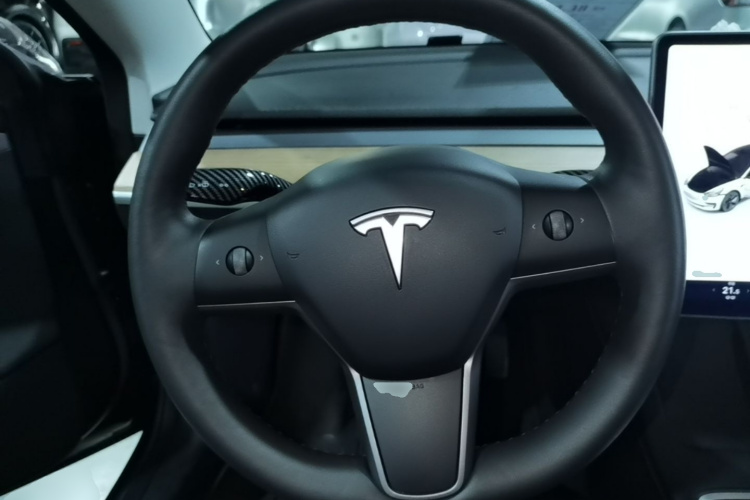 Tesla Model 3 2023 immagine di auto #11