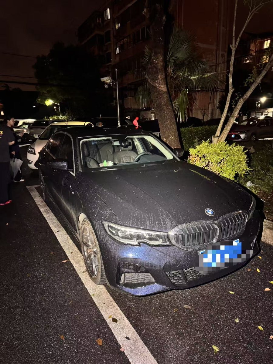 BMW 3 Series 2020 car image #4