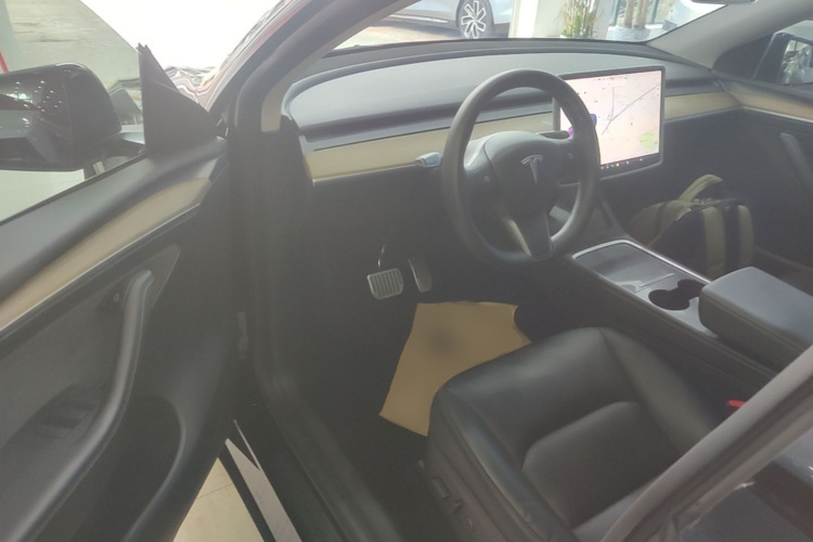 Tesla Model Y 2021 car image #16