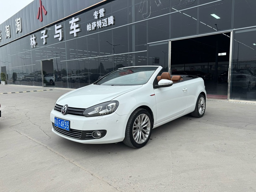 Volkswagen Golf (Imported) 2013 Volkswagen Golf (Imported) 2013 car image