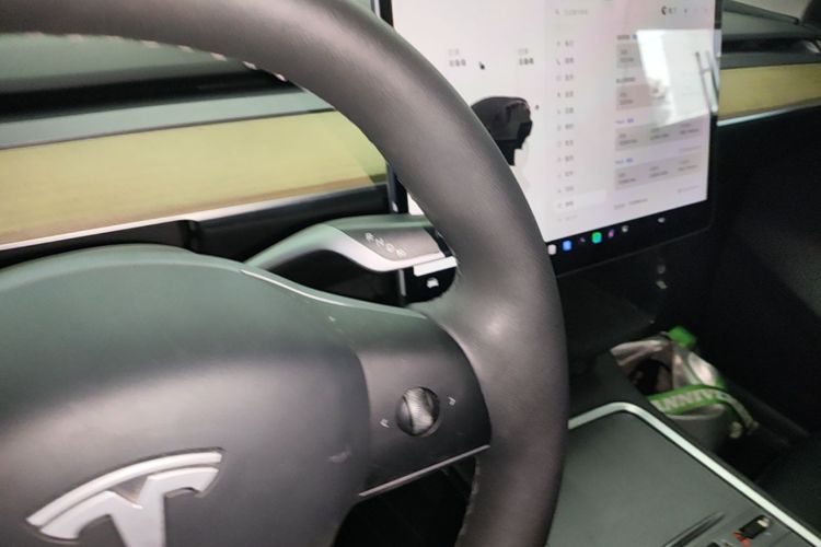 Tesla Model Y 2023 #14 Tesla Model Y 2023 car image #14