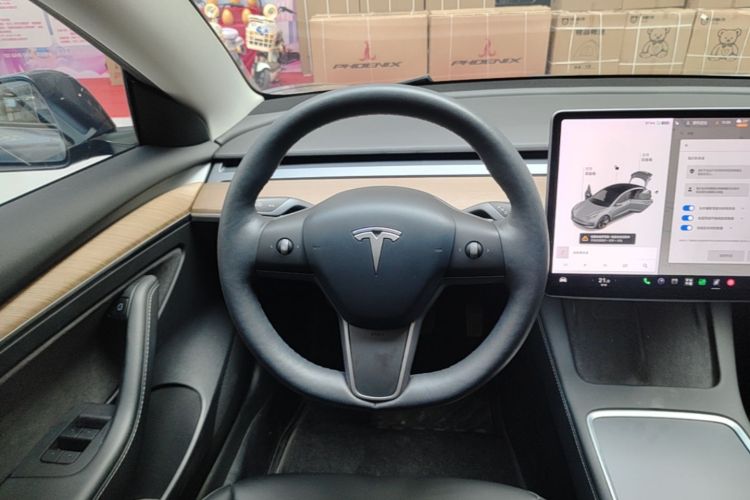Tesla Model 3 2021 car image #11