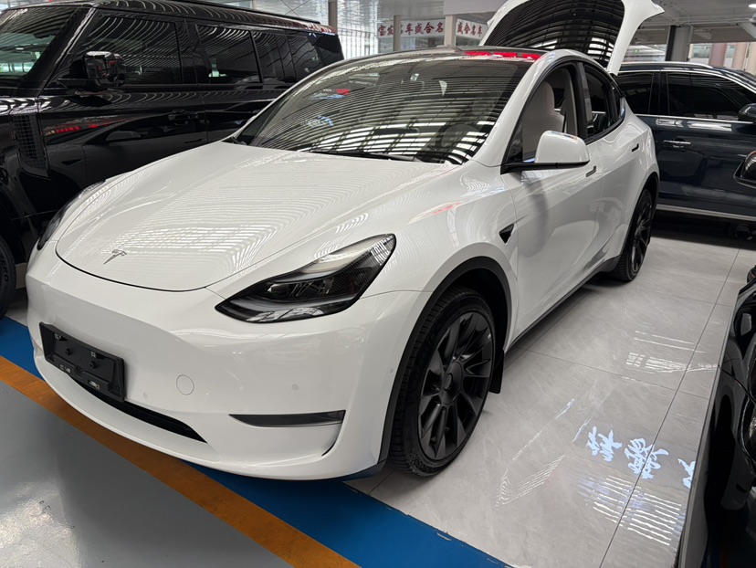 Tesla Model Y 2023 Tesla Model Y 2023 car image