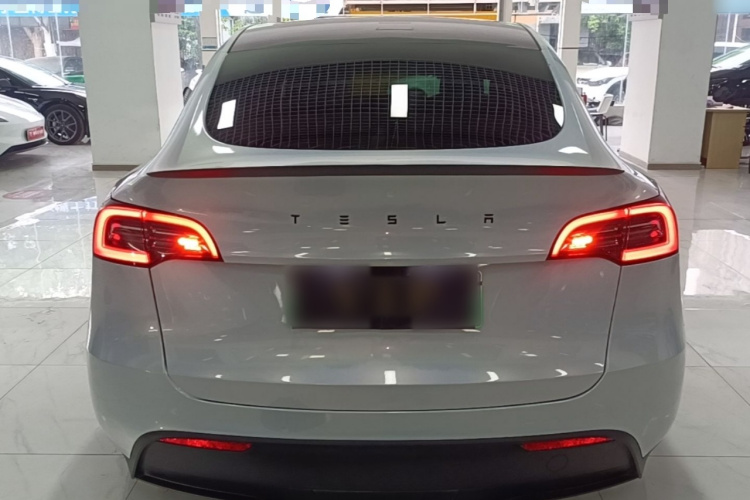 Tesla Model Y 2023 immagine di auto #6