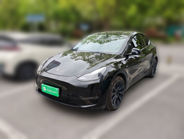Tesla Model Y 2021 Tesla Model Y 2021 car image
