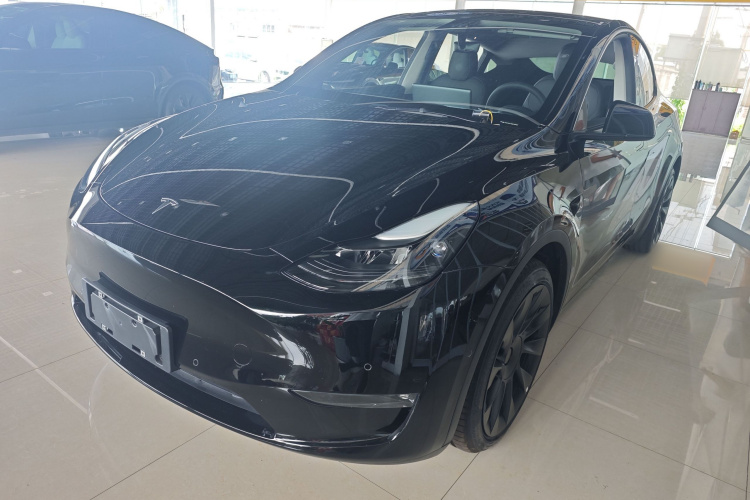 Tesla Model Y 2021 #2 Tesla Model Y 2021 car image #2