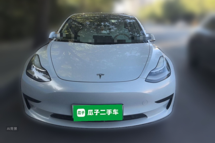 Tesla Model 3 2020 #3 Tesla Model 3 2020 car image #3
