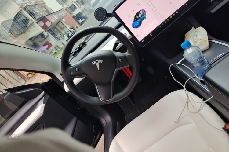 Tesla Model 3 2021 immagine di auto #12