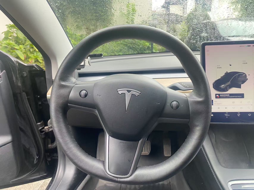 Tesla Model 3 2021 car image #9