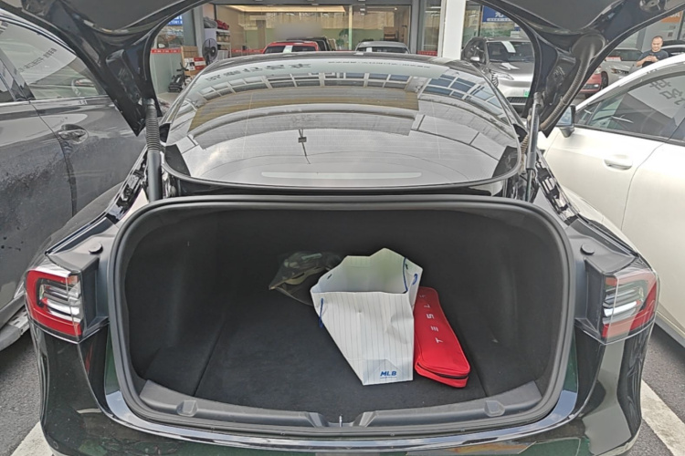 Tesla Model 3 2021 car image #19