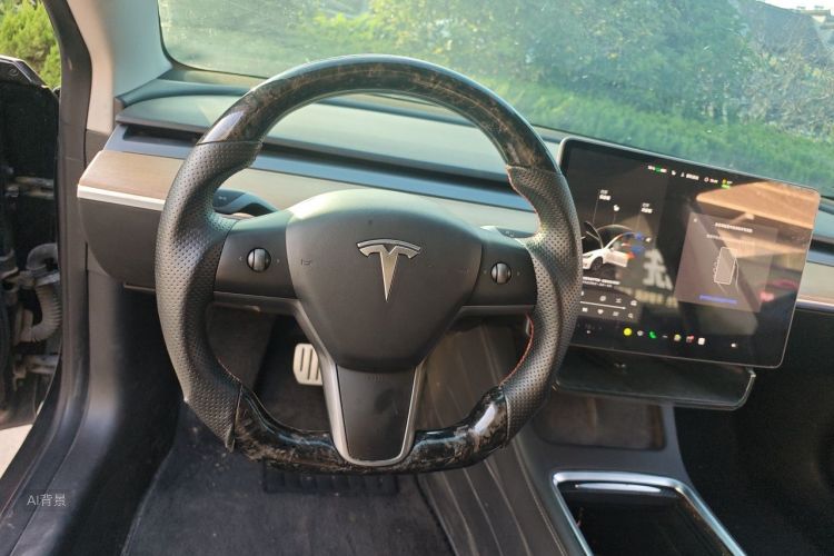 Tesla Model 3 2022 car image #12