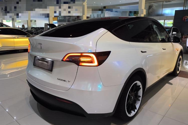 Tesla Model Y 2023 #7 Tesla Model Y 2023 car image #7