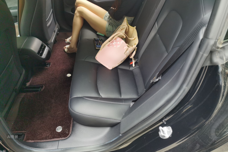 Tesla Model 3 2022 car image #19