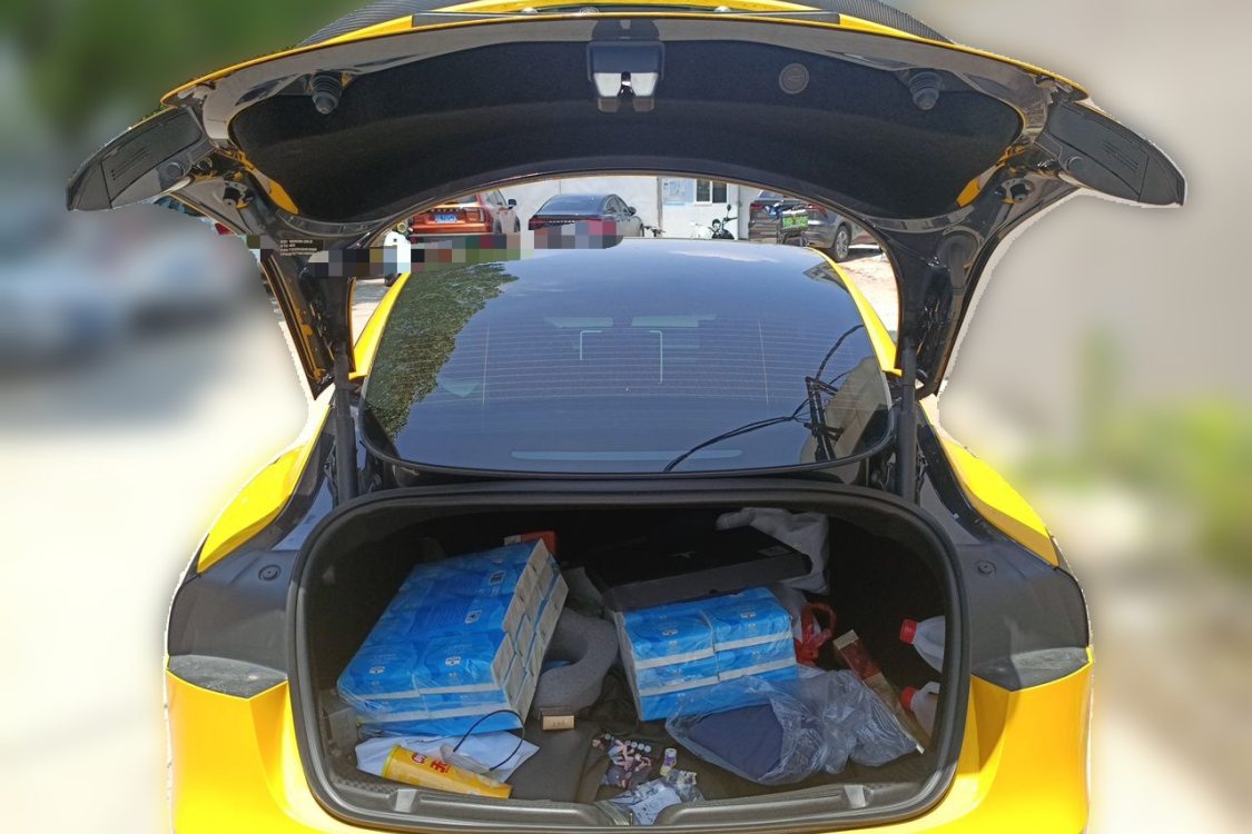 Tesla Model 3 2025 imagen de coche #8