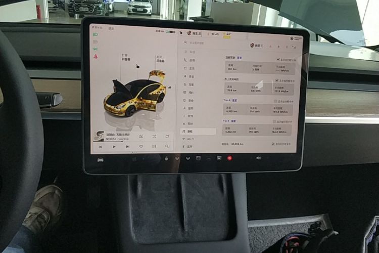 Tesla Model 3 2023 car image #17