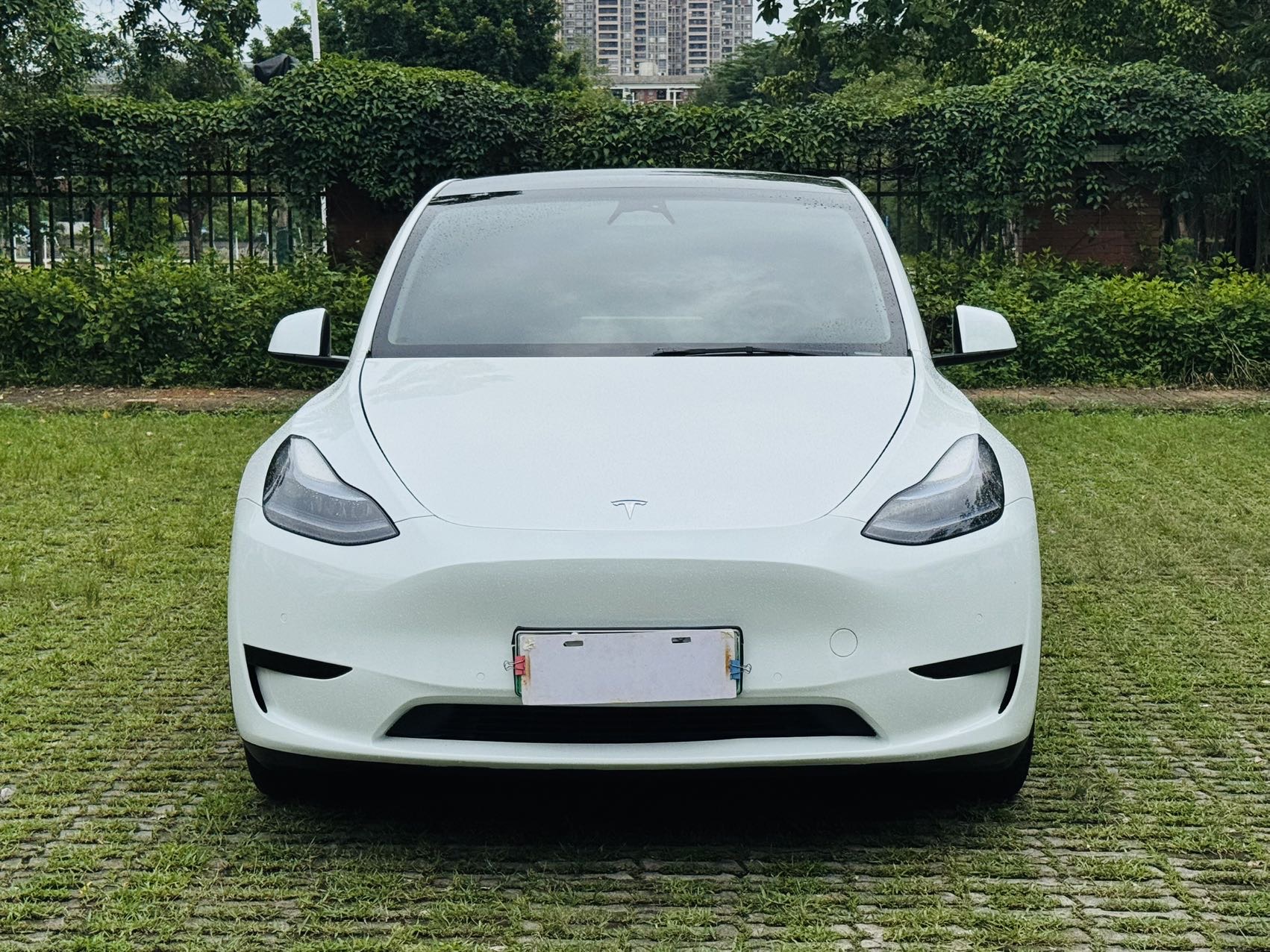 Tesla Model Y 2023 #9 Tesla Model Y 2023 car image #9