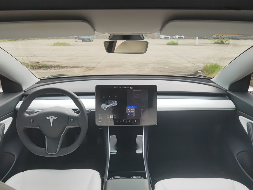Tesla Model 3 2020 car image #5