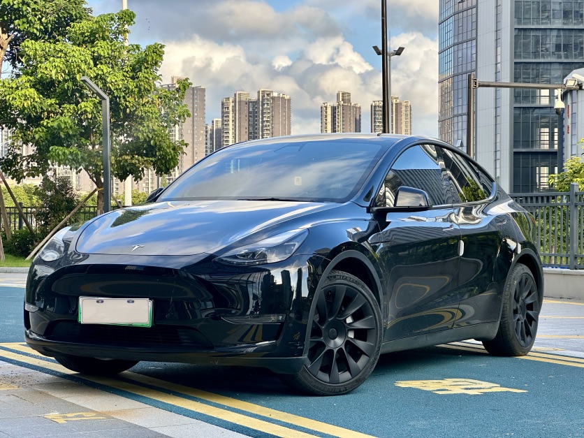 Tesla Model Y 2021 Tesla Model Y 2021 car image