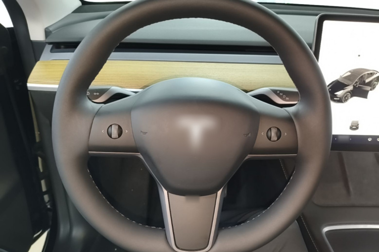 Tesla Model Y 2023 car image #15