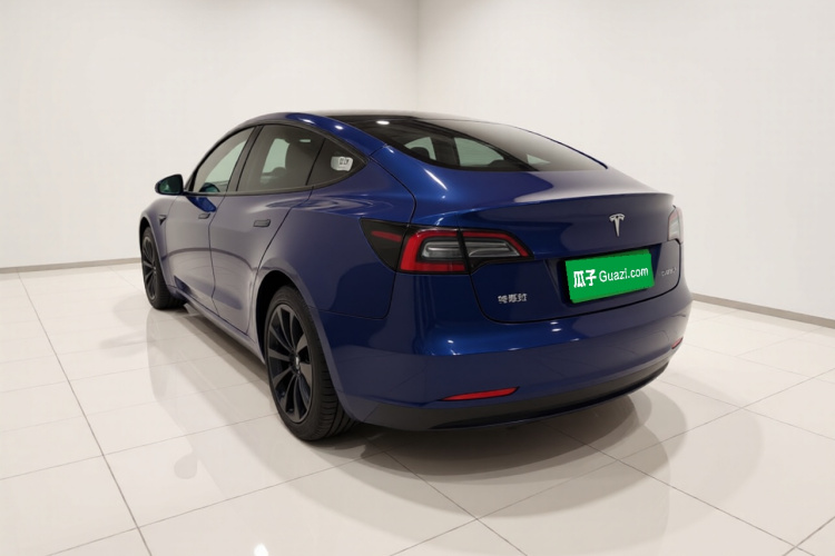 Tesla Model 3 2021 car image #5