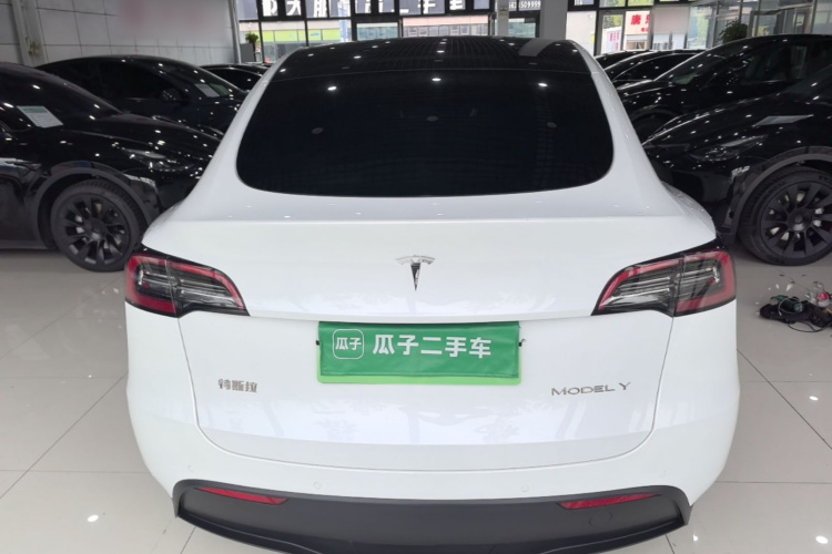 Tesla Model Y 2021 car image #6