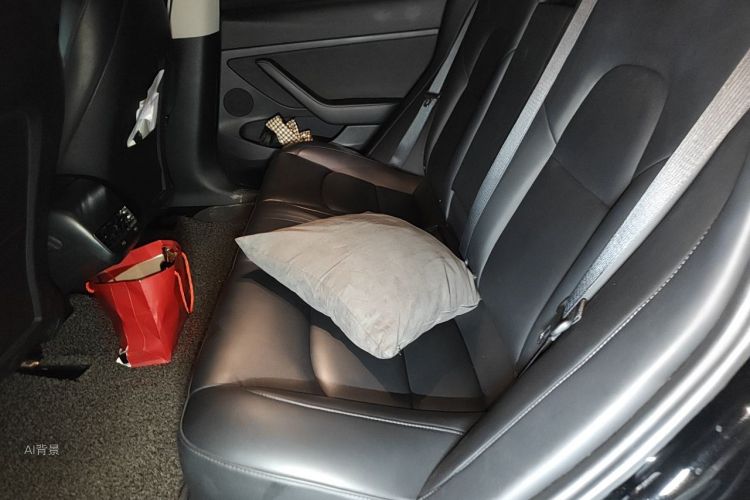 Tesla Model 3 2021 #19 Tesla Model 3 2021 car image #19