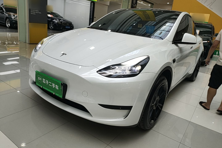 Tesla Model Y 2024 immagine di auto #2