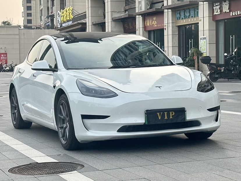 Tesla Model 3 2022 car image #3