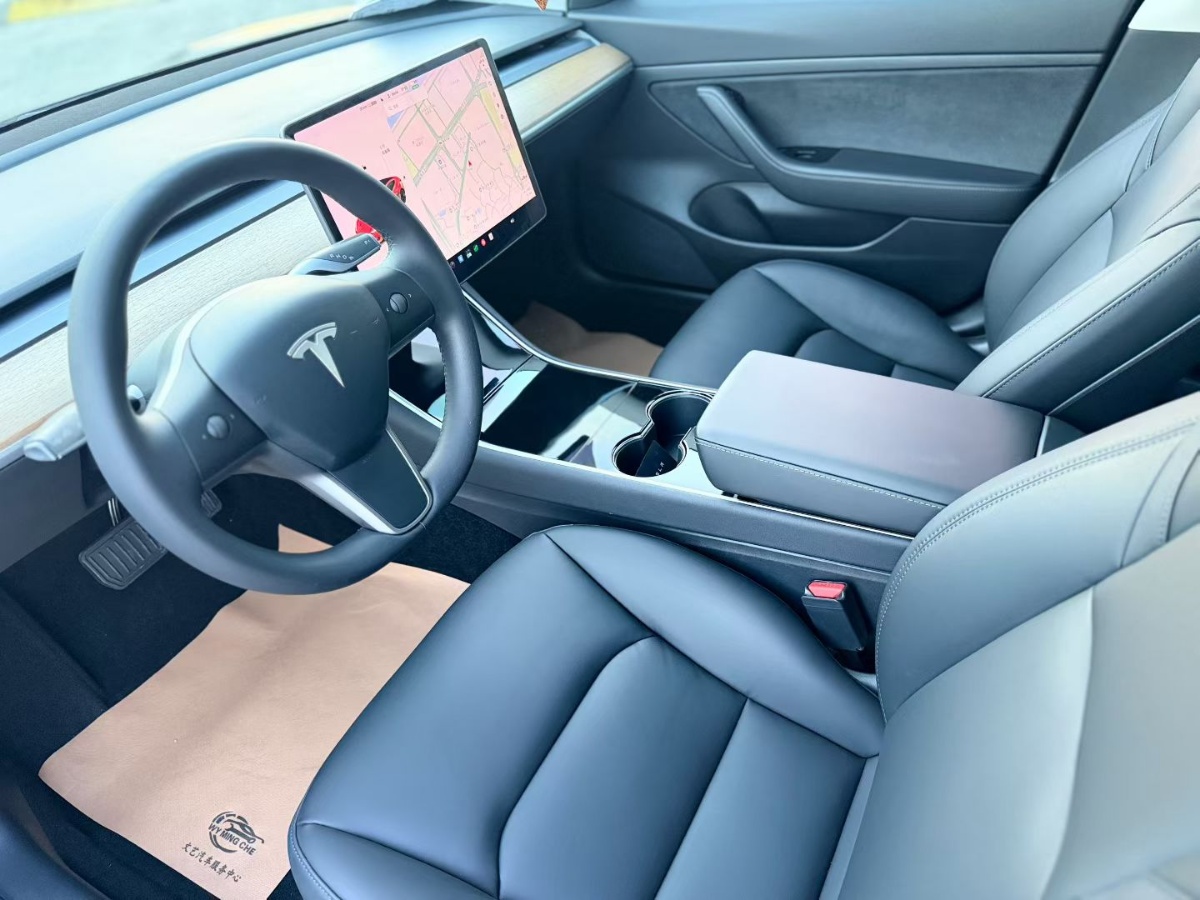 Tesla Model 3 2020 #8 Tesla Model 3 2020 car image #8