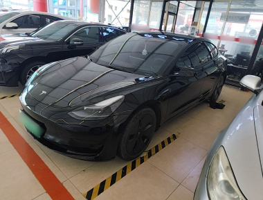 Tesla Model 3 2021 Tesla Model 3 2021 car image