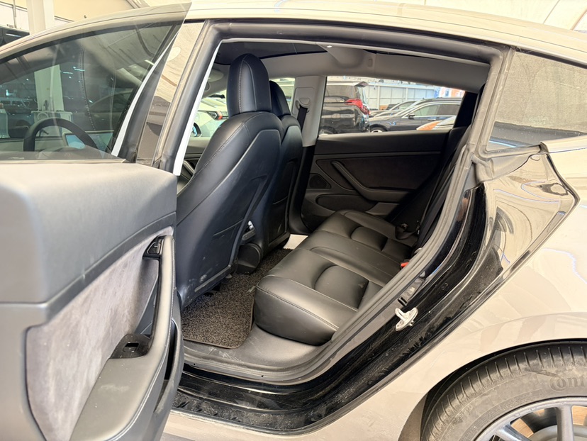 Tesla Model 3 2020 car image #6