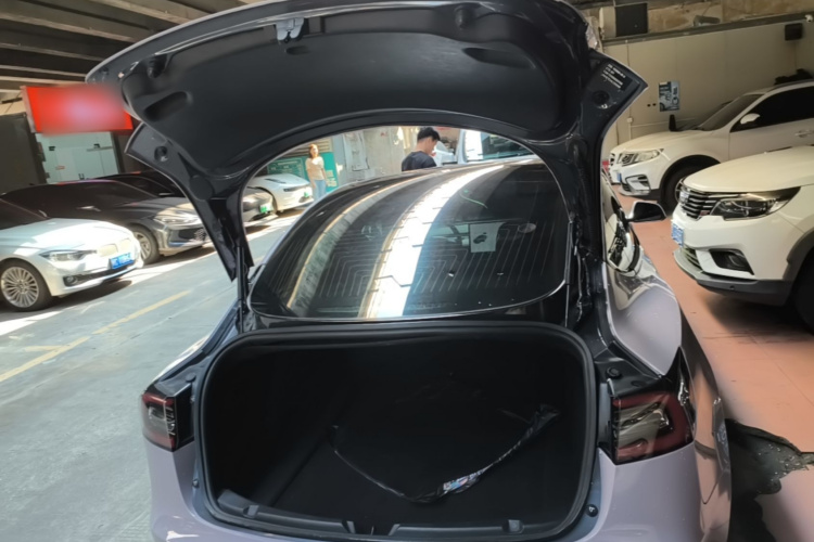 Tesla Model 3 2020 immagine di auto #19